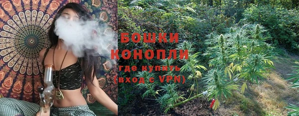 PSILOCYBIN Кукмор